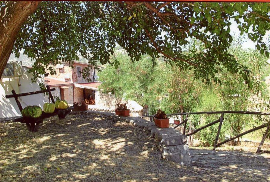 Grassetti Villa Монтеджордано Екстериор снимка